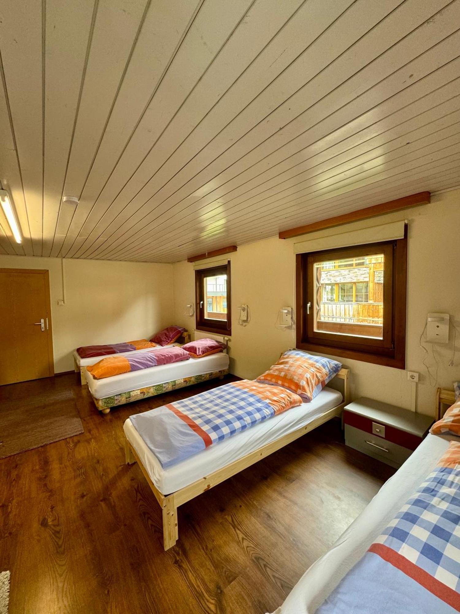 Skill Mountain Lodge - Ski Und Bike Hostel Im Sommer Mit Joker Card ザールバッハ・ヒンターグレム エクステリア 写真