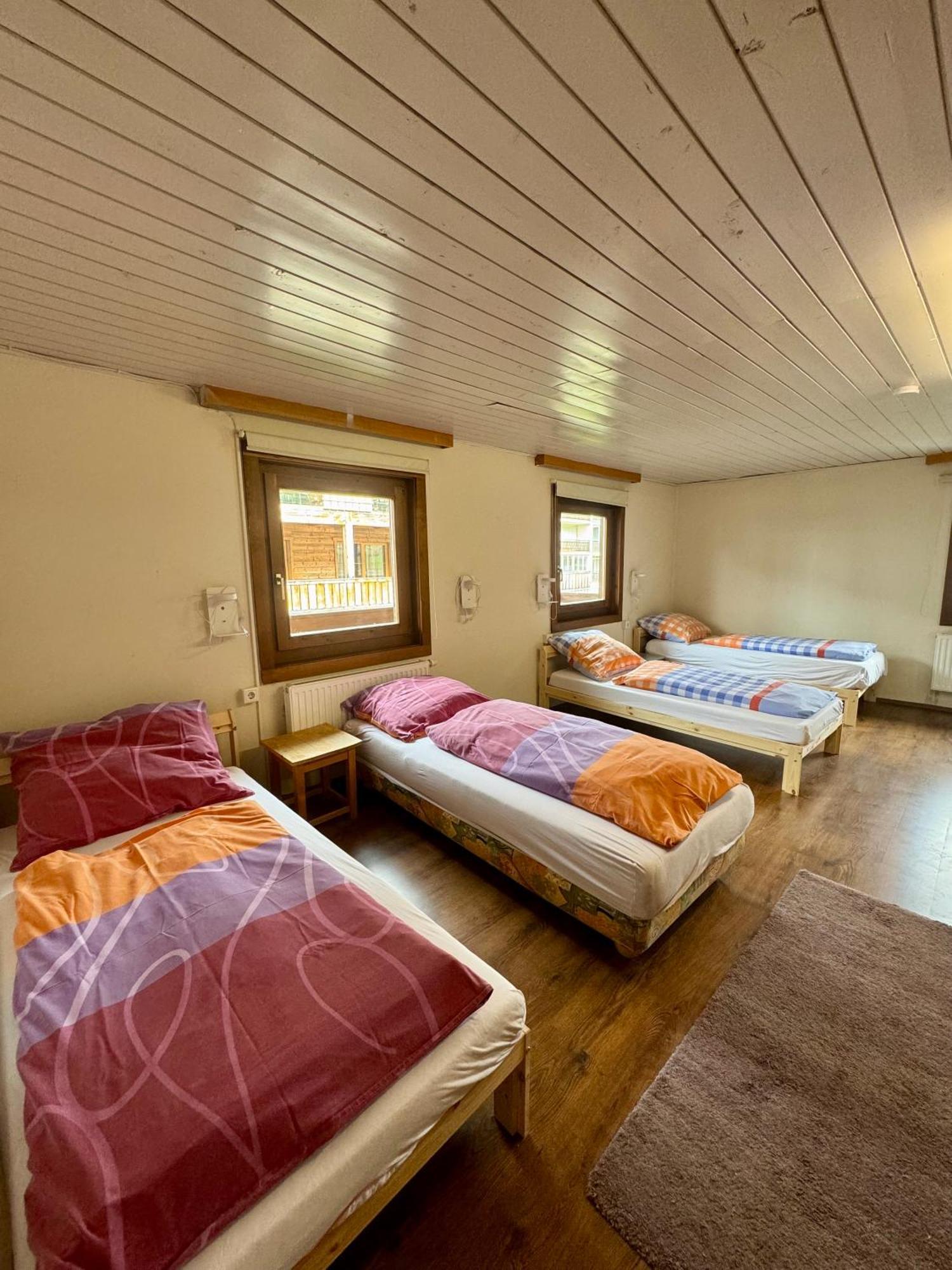 Skill Mountain Lodge - Ski Und Bike Hostel Im Sommer Mit Joker Card ザールバッハ・ヒンターグレム 部屋 写真
