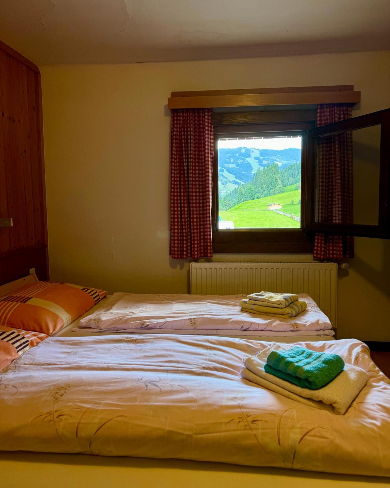 Skill Mountain Lodge - Ski Und Bike Hostel Im Sommer Mit Joker Card ザールバッハ・ヒンターグレム エクステリア 写真